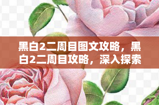 黑白2二周目图文攻略，黑白2二周目攻略，深入探索的冒险之旅