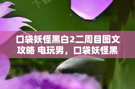 口袋妖怪黑白2二周目图文攻略 电玩男，口袋妖怪黑白2二周目图文攻略