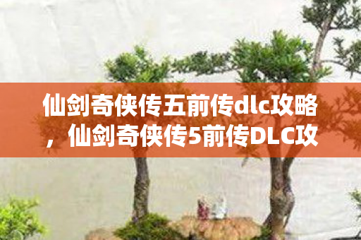 仙剑奇侠传五前传dlc攻略，仙剑奇侠传5前传DLC攻略大全