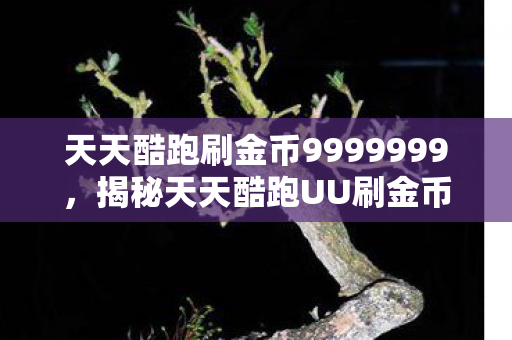 天天酷跑刷金币9999999，揭秘天天酷跑UU刷金币的真相与策略
