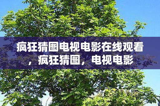 疯狂猜图电视电影在线观看，疯狂猜图，电视电影