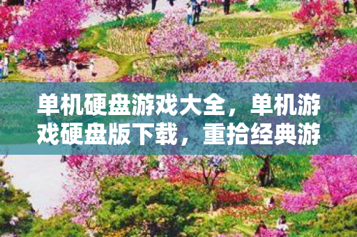 单机硬盘游戏大全，单机游戏硬盘版下载，重拾经典游戏的便捷之路