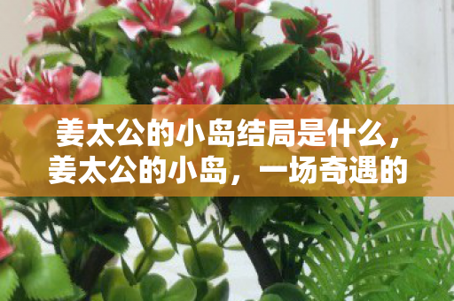 姜太公的小岛结局是什么，姜太公的小岛，一场奇遇的结局