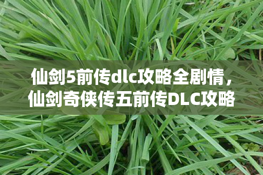 仙剑5前传dlc攻略全剧情，仙剑奇侠传五前传DLC攻略大全