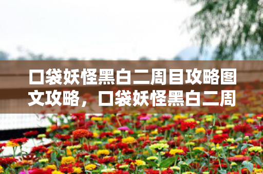 口袋妖怪黑白二周目攻略图文攻略，口袋妖怪黑白二周目攻略，征服未知的冒险之旅