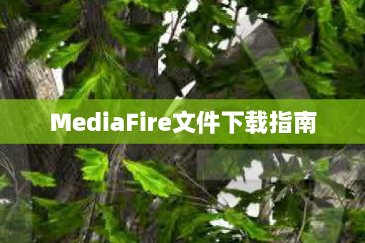 MediaFire文件下载指南