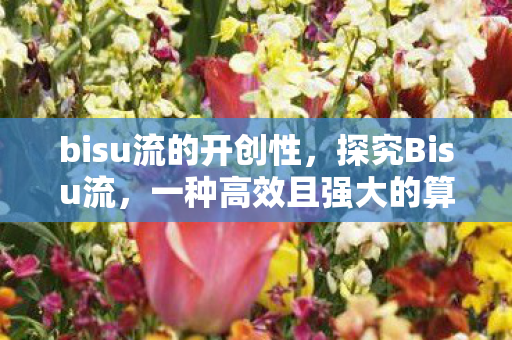 bisu流的开创性，探究Bisu流，一种高效且强大的算法流程