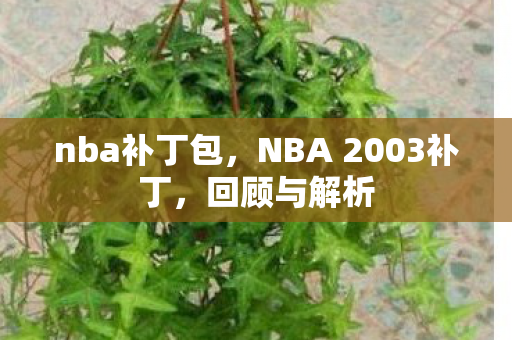 nba补丁包，NBA 2003补丁，回顾与解析