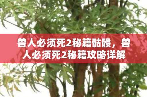 兽人必须死2秘籍骷髅，兽人必须死2秘籍攻略详解