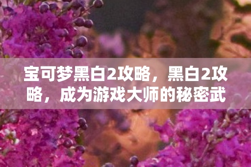 宝可梦黑白2攻略，黑白2攻略，成为游戏大师的秘密武器