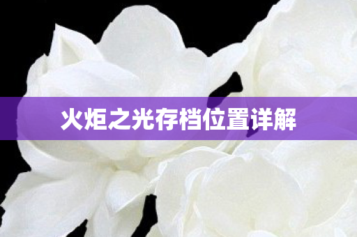 火炬之光存档位置详解