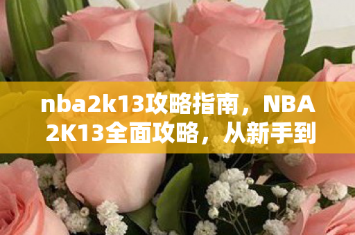 nba2k13攻略指南，NBA 2K13全面攻略，从新手到高手的进阶之路