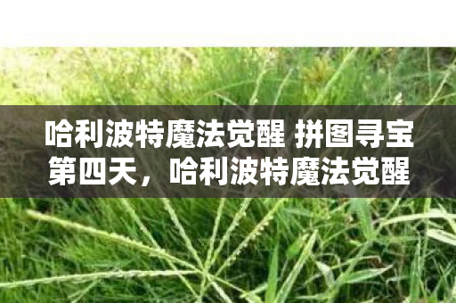 哈利波特魔法觉醒 拼图寻宝第四天，哈利波特魔法觉醒拼图寻宝第四天，揭秘隐藏线索，探寻奇幻世界新篇章