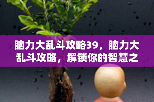 脑力大乱斗攻略39，脑力大乱斗攻略，解锁你的智慧之门