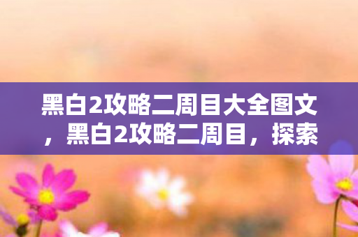 黑白2攻略二周目大全图文，黑白2攻略二周目，探索未知领域，挑战更高难度