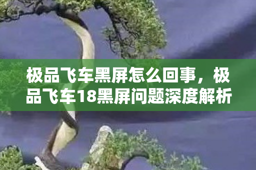 极品飞车黑屏怎么回事，极品飞车18黑屏问题深度解析及解决方案