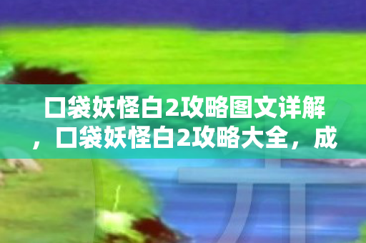 口袋妖怪白2攻略图文详解，口袋妖怪白2攻略大全，成为顶尖训练师的秘诀