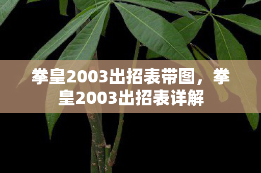 拳皇2003出招表带图，拳皇2003出招表详解