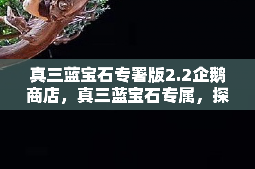 真三蓝宝石专署版2.2企鹅商店，真三蓝宝石专属，探寻神秘宝石的魅力与独特价值 2.2 版本