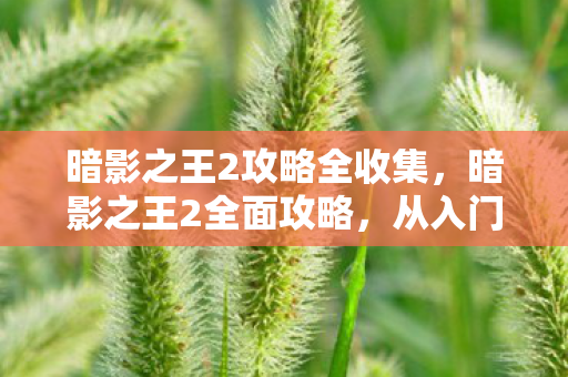 暗影之王2攻略全收集，暗影之王2全面攻略，从入门到精通