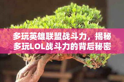 多玩英雄联盟战斗力，揭秘多玩LOL战斗力的背后秘密