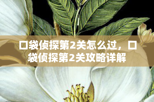 口袋侦探第2关怎么过，口袋侦探第2关攻略详解