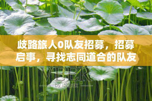 歧路旅人0队友招募，招募启事，寻找志同道合的队友，共创辉煌！