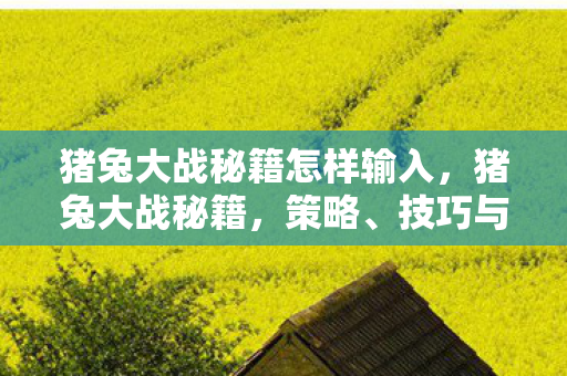 猪兔大战秘籍怎样输入，猪兔大战秘籍，策略、技巧与制胜之道