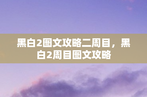 黑白2图文攻略二周目，黑白2周目图文攻略