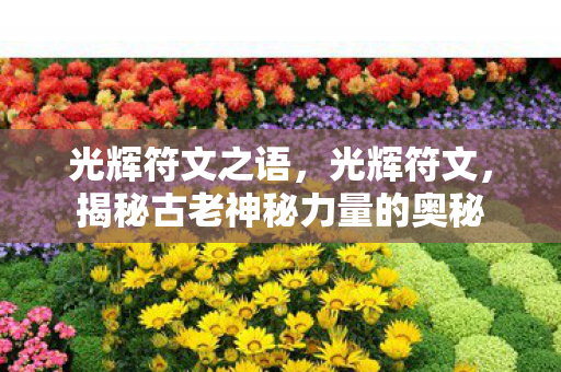 光辉符文之语，光辉符文，揭秘古老神秘力量的奥秘