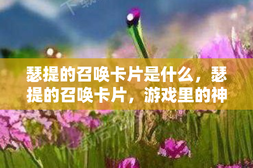 瑟提的召唤卡片是什么，瑟提的召唤卡片，游戏里的神秘力量与收藏价值