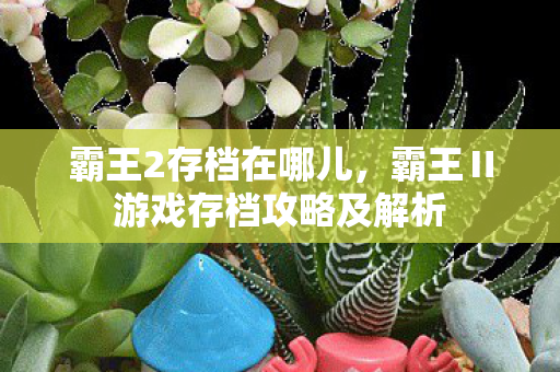 霸王2存档在哪儿，霸王Ⅱ游戏存档攻略及解析