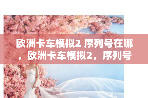 欧洲卡车模拟2 序列号在哪，欧洲卡车模拟2，序列号的重要性与获取方法