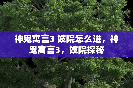 神鬼寓言3 妓院怎么进，神鬼寓言3，妓院探秘