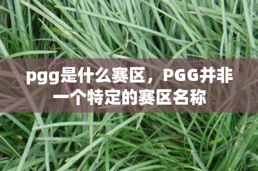 pgg是什么赛区，PGG并非一个特定的赛区名称