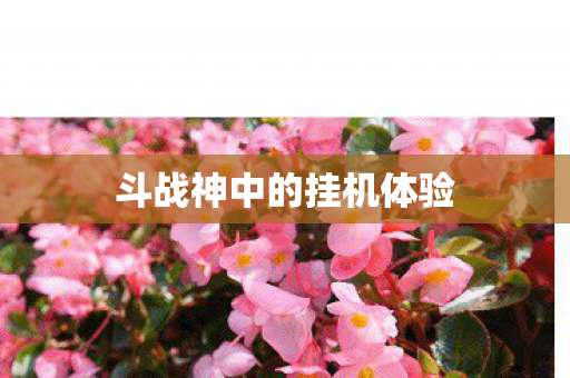 斗战神中的挂机体验