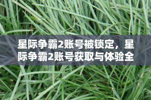 星际争霸2账号被锁定，星际争霸2账号获取与体验全攻略