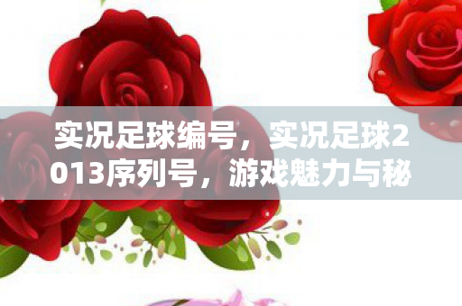 实况足球编号，实况足球2013序列号，游戏魅力与秘籍探寻