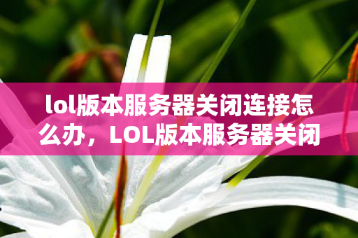 lol版本服务器关闭连接怎么办，LOL版本服务器关闭连接，深度解析背后的原因与应对策略