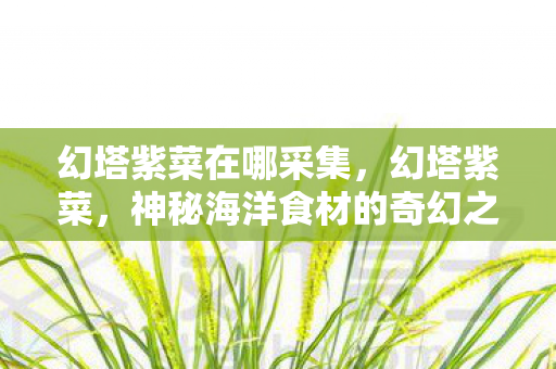 幻塔紫菜在哪采集，幻塔紫菜，神秘海洋食材的奇幻之旅