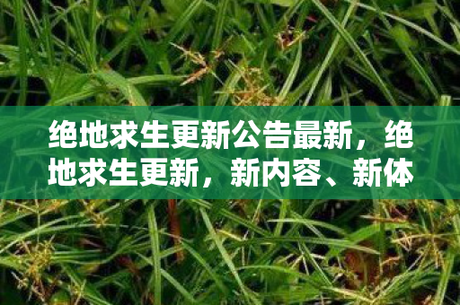 绝地求生更新公告最新，绝地求生更新，新内容、新体验与未来展望