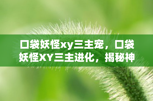 口袋妖怪xy三主宠，口袋妖怪XY三主进化，揭秘神奇生物的成长之路