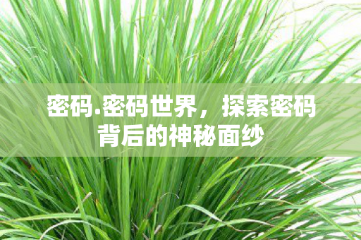 密码.密码世界，探索密码背后的神秘面纱