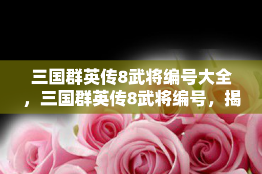 三国群英传8武将编号大全，三国群英传8武将编号，揭秘古代战争中的英雄传奇
