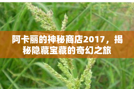 阿卡丽的神秘商店2017，揭秘隐藏宝藏的奇幻之旅