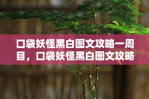 口袋妖怪黑白图文攻略一周目，口袋妖怪黑白图文攻略，全方位导航助你成为大师训练家