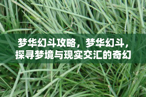 梦华幻斗攻略，梦华幻斗，探寻梦境与现实交汇的奇幻之旅