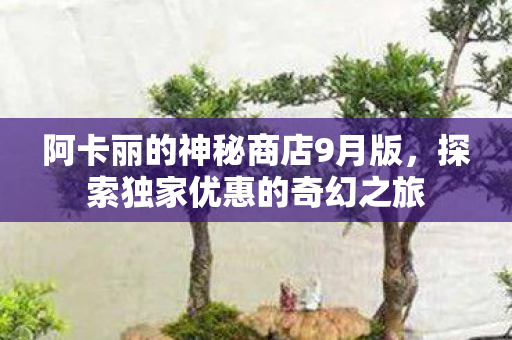 阿卡丽的神秘商店9月版，探索独家优惠的奇幻之旅