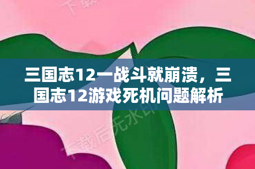 三国志12一战斗就崩溃，三国志12游戏死机问题解析