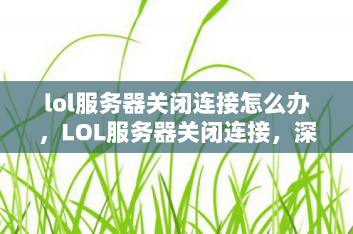 lol服务器关闭连接怎么办，LOL服务器关闭连接，深度解析背后的原因与应对策略